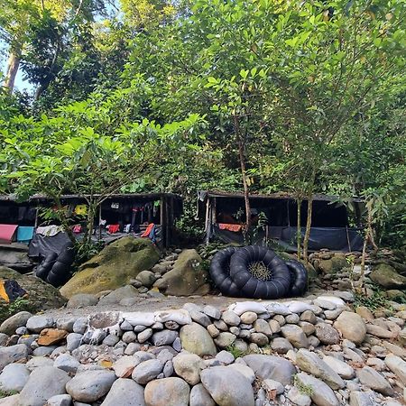 بوكيت لاوانج Lucky Bamboo'Bungalows-Resto And Orangutan Jungle Trekking Tours المظهر الخارجي الصورة