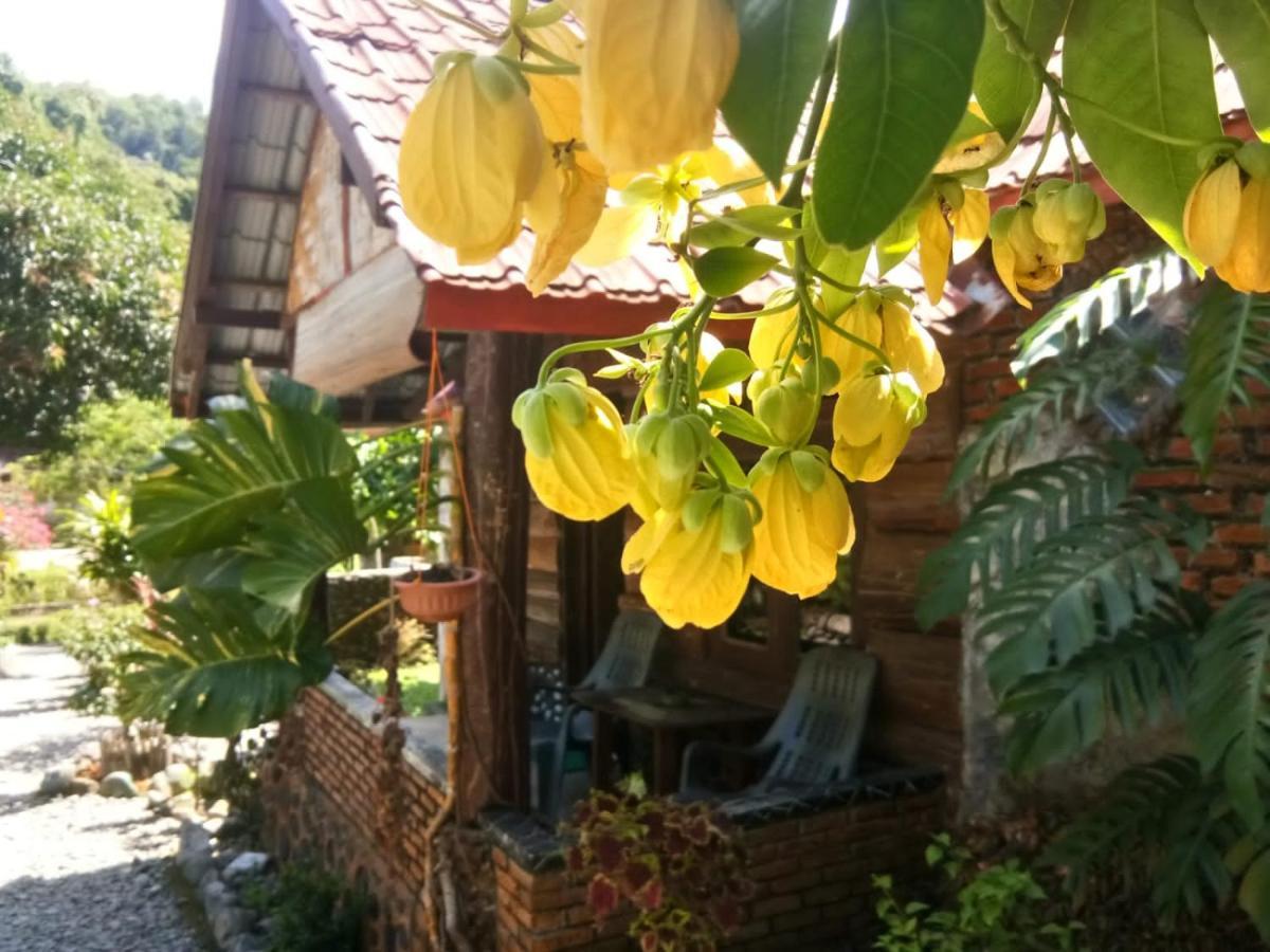 بوكيت لاوانج Lucky Bamboo'Bungalows-Resto And Orangutan Jungle Trekking Tours المظهر الخارجي الصورة
