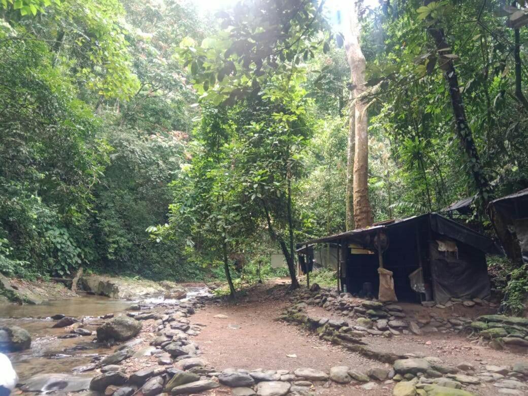بوكيت لاوانج Lucky Bamboo'Bungalows-Resto And Orangutan Jungle Trekking Tours المظهر الخارجي الصورة