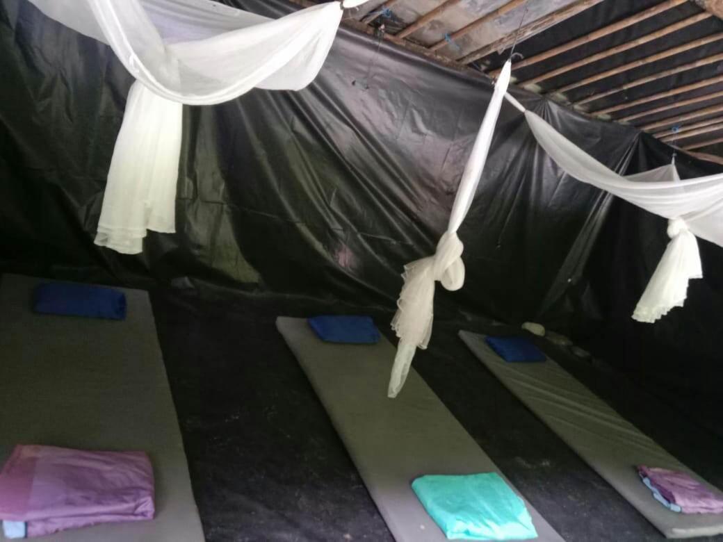 بوكيت لاوانج Lucky Bamboo'Bungalows-Resto And Orangutan Jungle Trekking Tours المظهر الخارجي الصورة