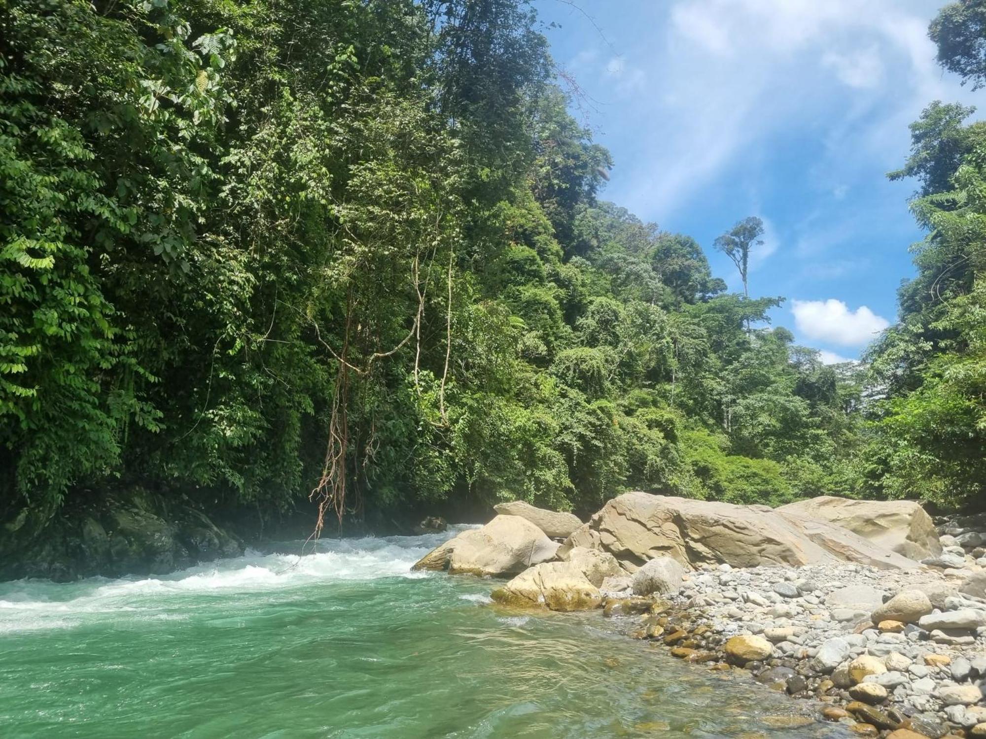 بوكيت لاوانج Lucky Bamboo'Bungalows-Resto And Orangutan Jungle Trekking Tours المظهر الخارجي الصورة