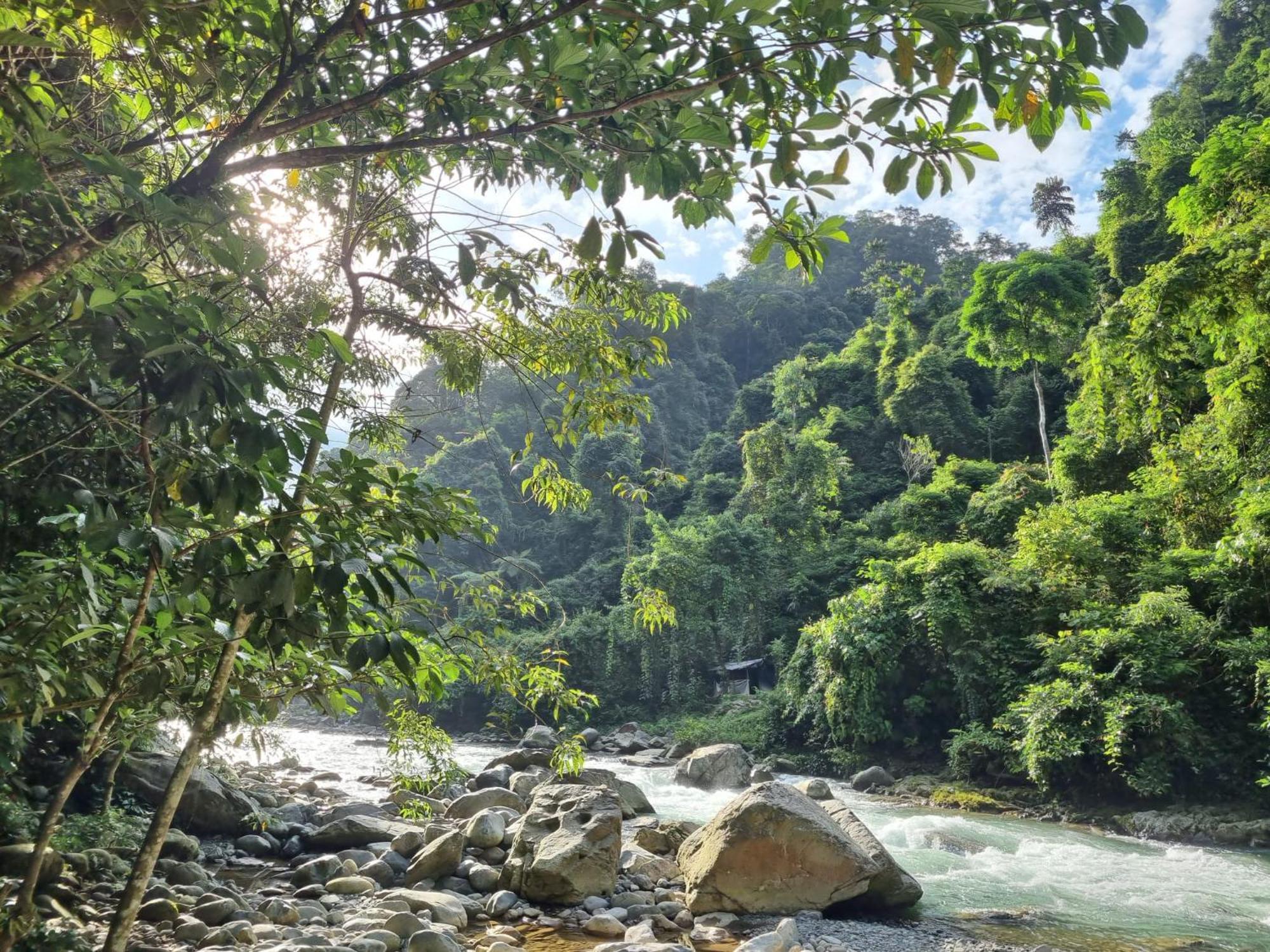 بوكيت لاوانج Lucky Bamboo'Bungalows-Resto And Orangutan Jungle Trekking Tours المظهر الخارجي الصورة