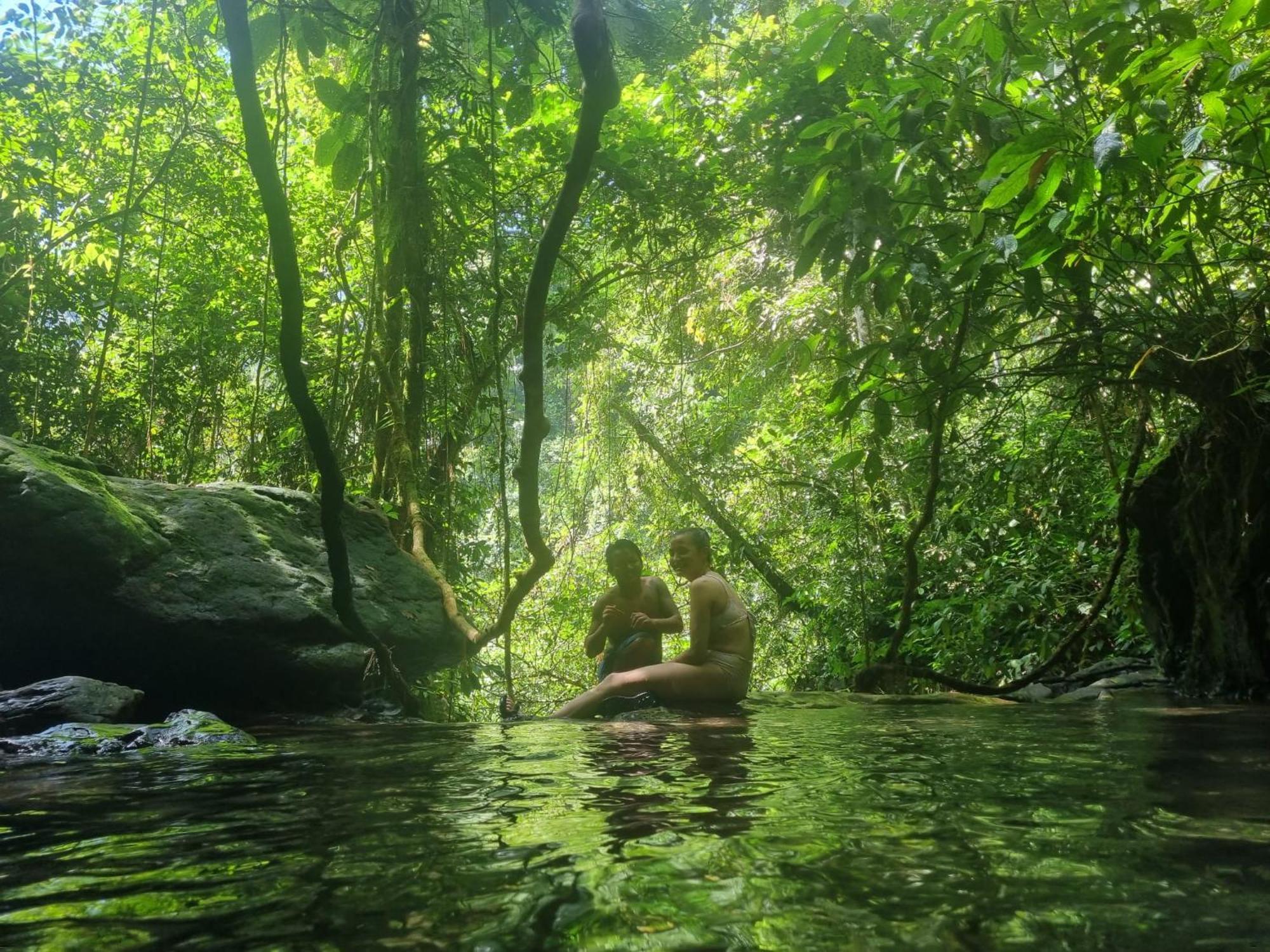 بوكيت لاوانج Lucky Bamboo'Bungalows-Resto And Orangutan Jungle Trekking Tours المظهر الخارجي الصورة