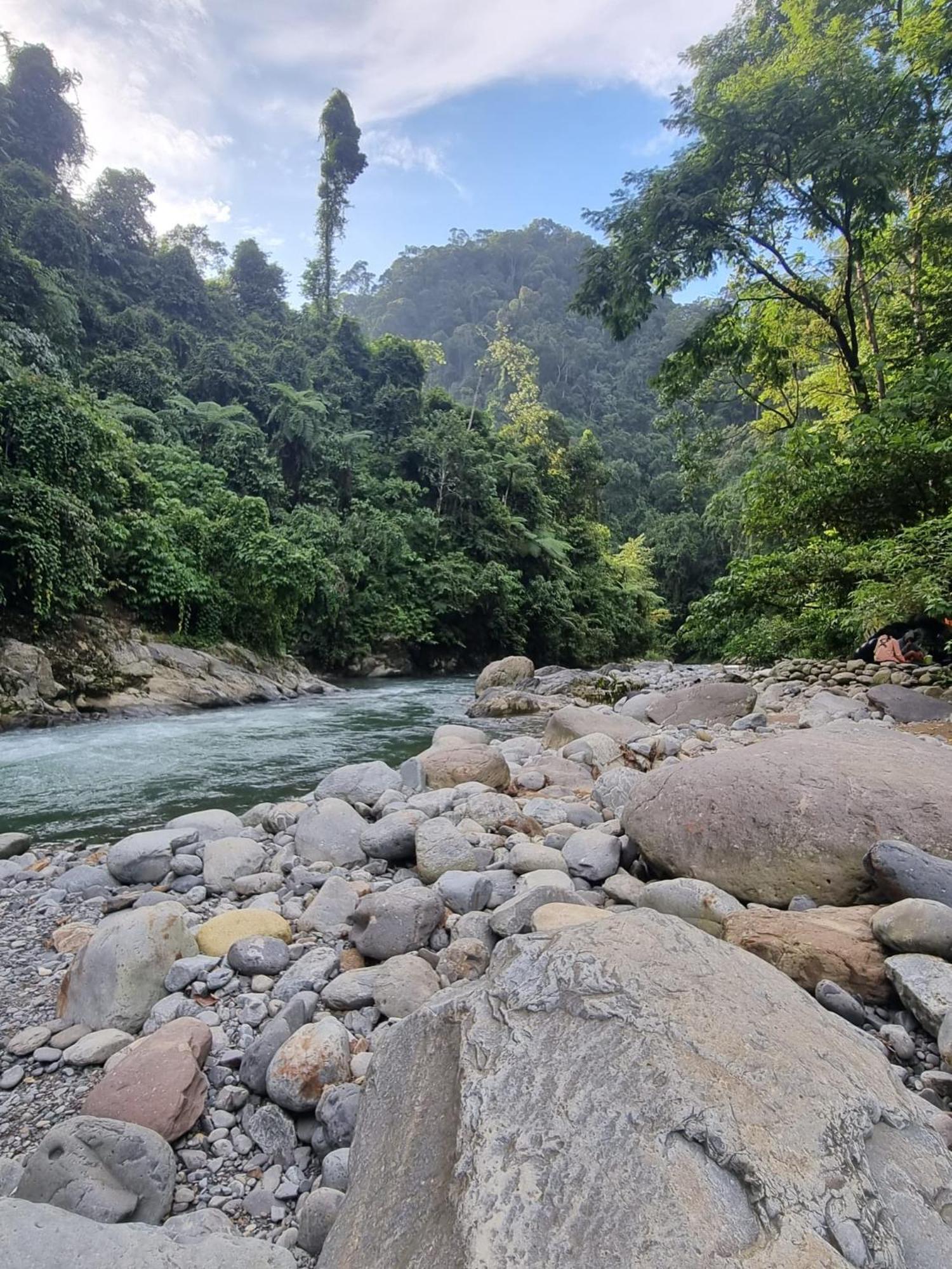 بوكيت لاوانج Lucky Bamboo'Bungalows-Resto And Orangutan Jungle Trekking Tours المظهر الخارجي الصورة