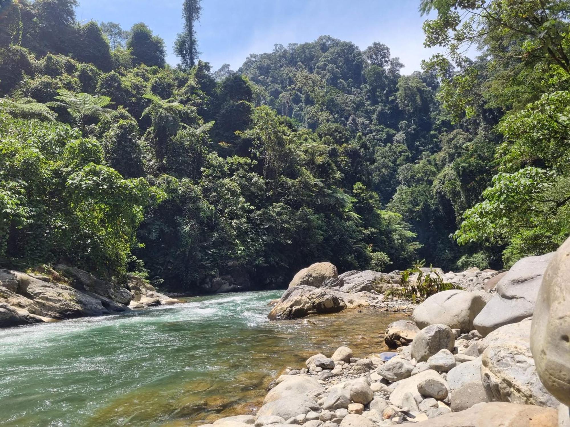بوكيت لاوانج Lucky Bamboo'Bungalows-Resto And Orangutan Jungle Trekking Tours المظهر الخارجي الصورة