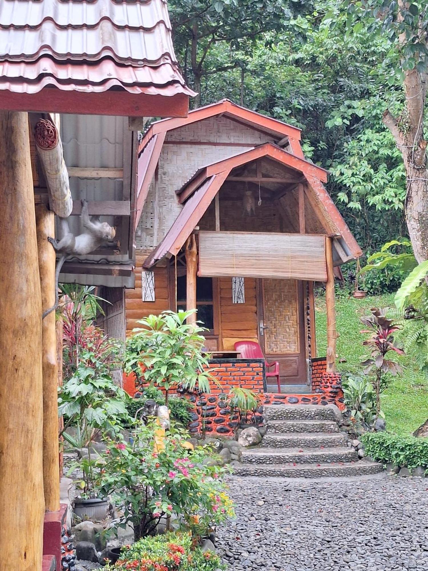 بوكيت لاوانج Lucky Bamboo'Bungalows-Resto And Orangutan Jungle Trekking Tours المظهر الخارجي الصورة