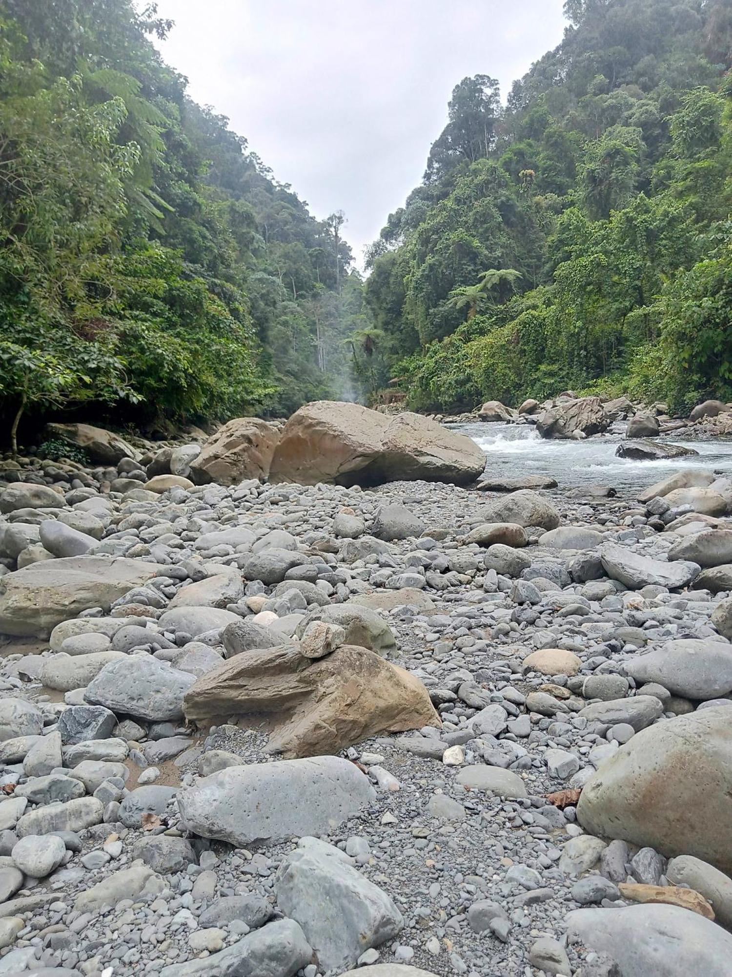 بوكيت لاوانج Lucky Bamboo'Bungalows-Resto And Orangutan Jungle Trekking Tours المظهر الخارجي الصورة